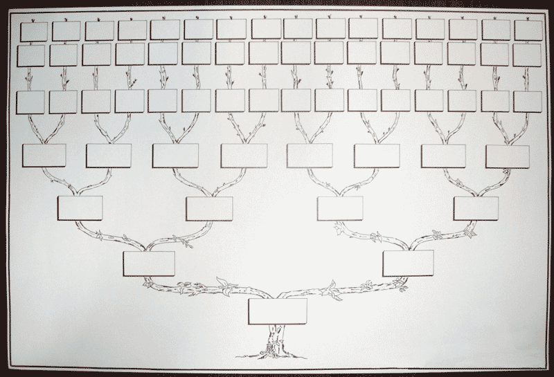 Modele Arbre Genealogique Descendant Vierge Gratuit Arbre Généalogique Vierge 7 Générations Gratuit / dessin à imprimer